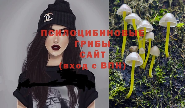 амф Алзамай