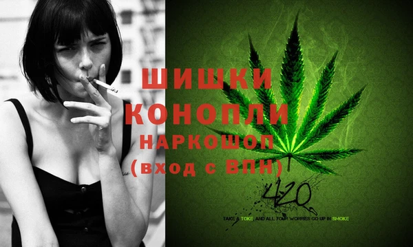 ГАЛЛЮЦИНОГЕННЫЕ ГРИБЫ Покровск